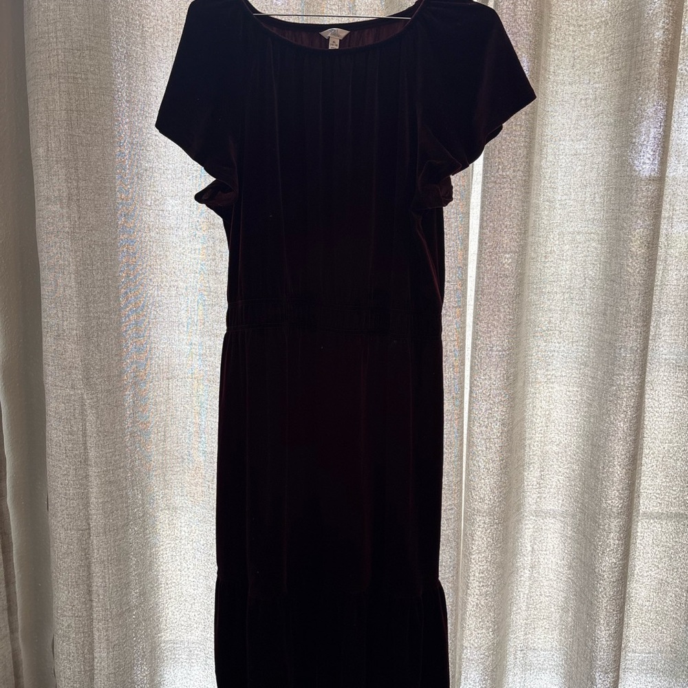 Elegant Burgandy Velvet Dress